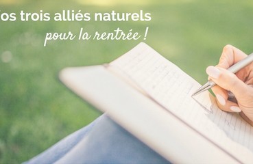 Vitamine C - Laboratoires Activa