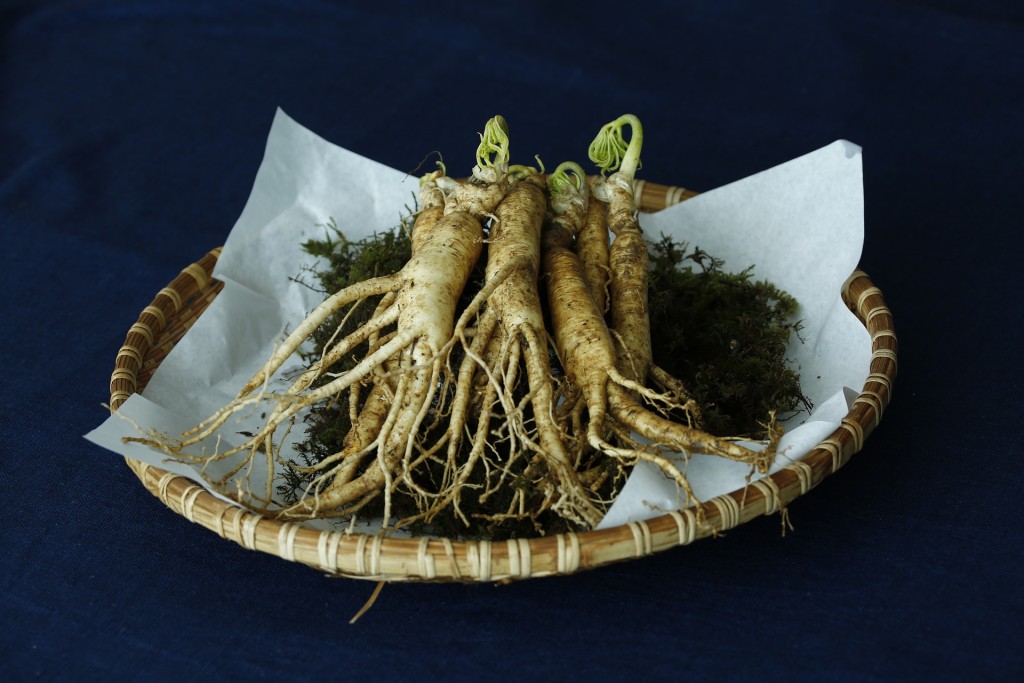 ginseng-tonus-vitalité