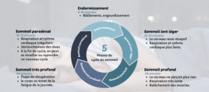 5 cycles du sommeil